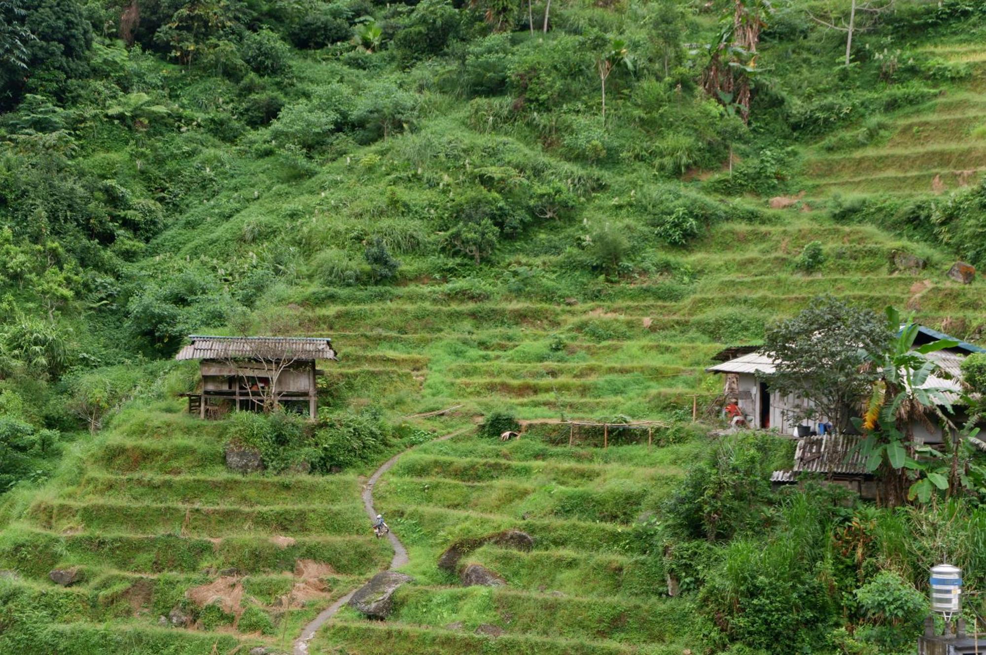 Bikki'S Jungle Homestay ห่าซาง ภายนอก รูปภาพ