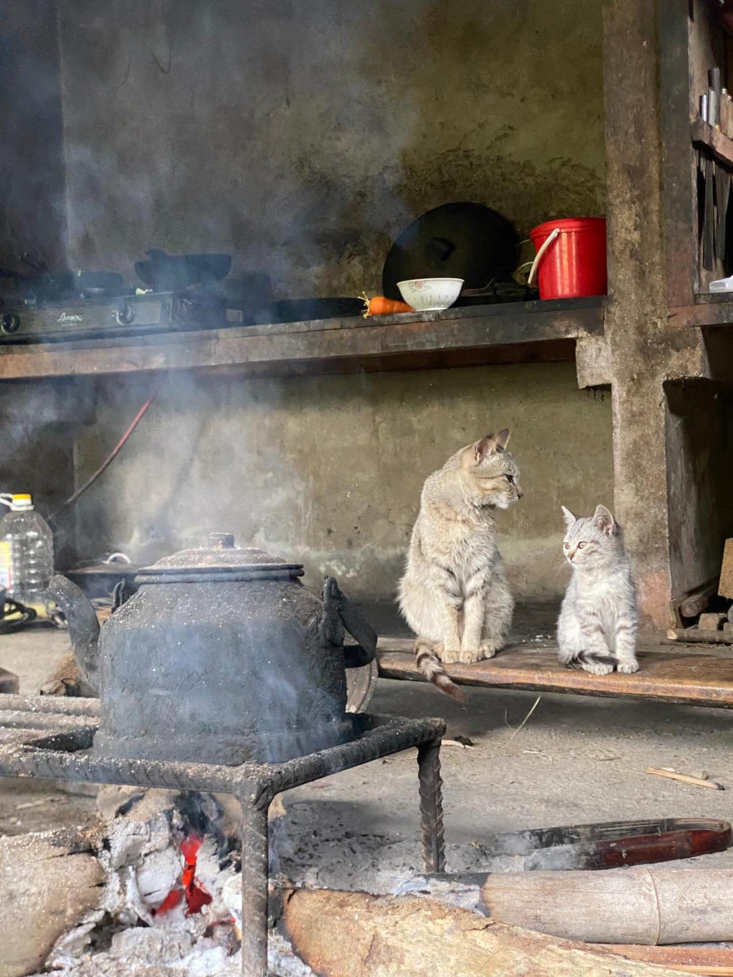 Bikki'S Jungle Homestay ห่าซาง ภายนอก รูปภาพ