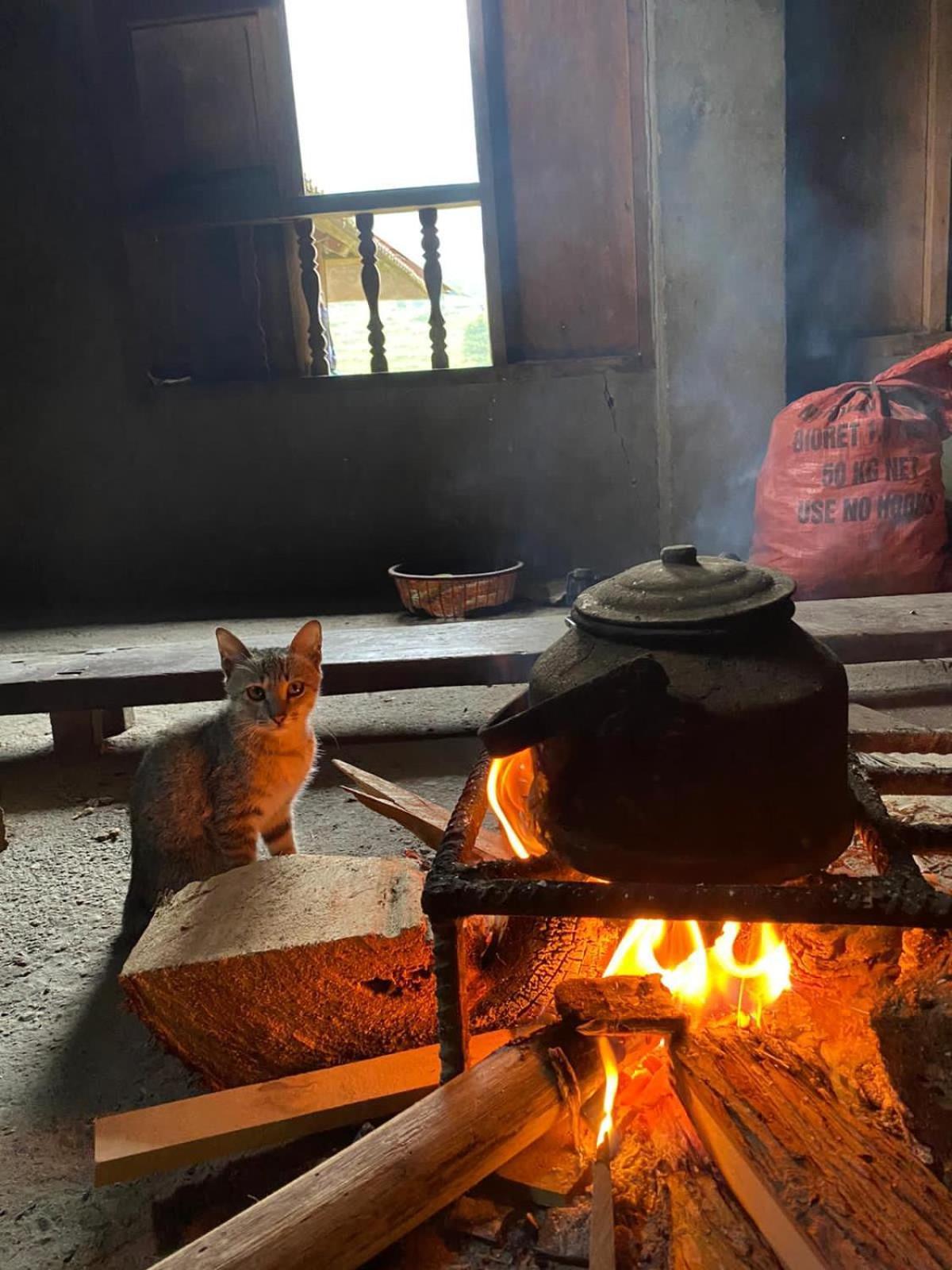 Bikki'S Jungle Homestay ห่าซาง ภายนอก รูปภาพ