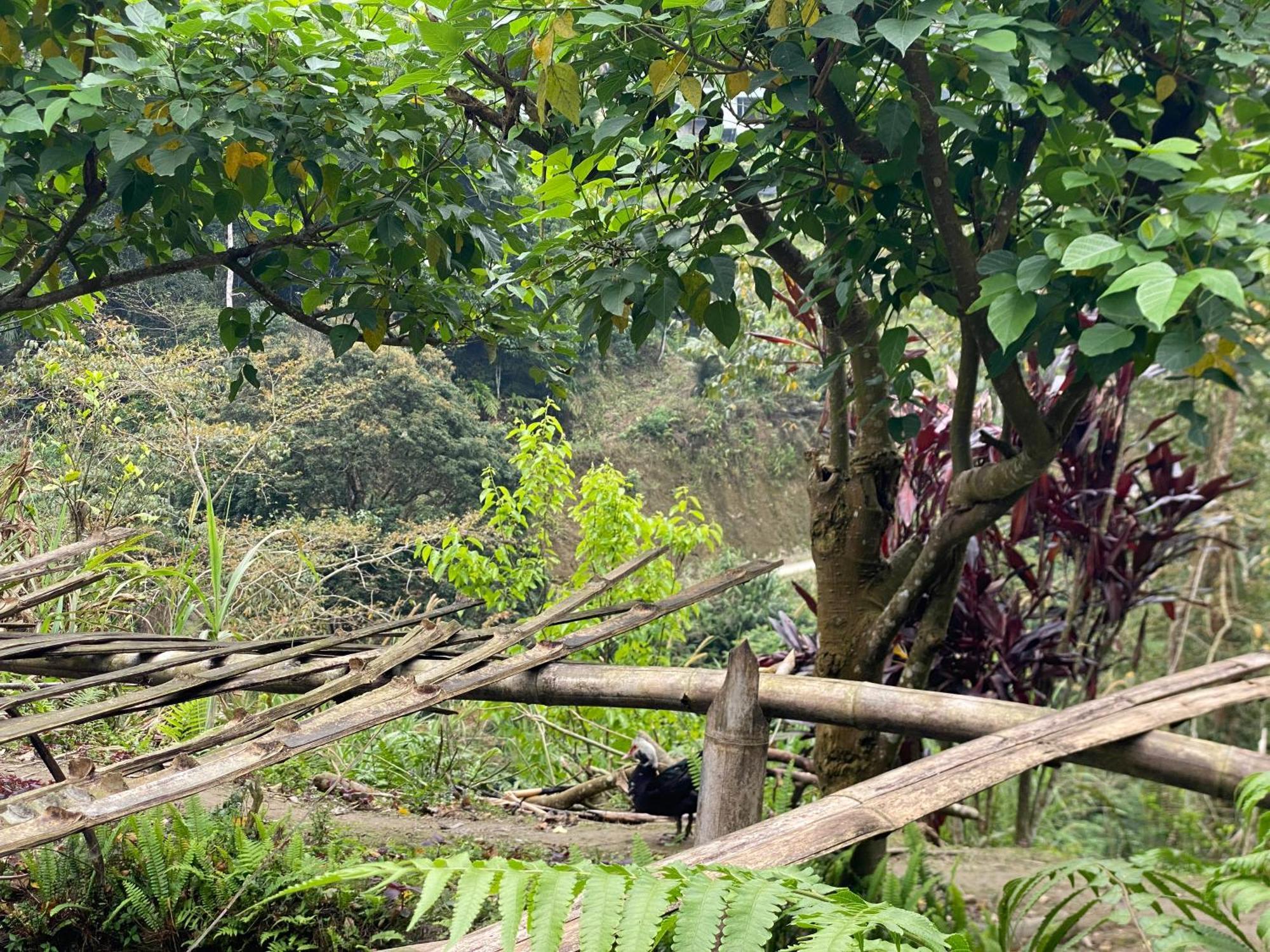 Bikki'S Jungle Homestay ห่าซาง ภายนอก รูปภาพ